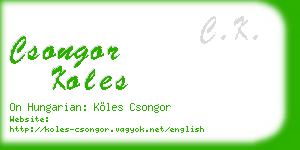 csongor koles business card